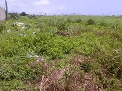 Residential Plot of Land — Citadel View, Sangotedo, Ajah, Lagos