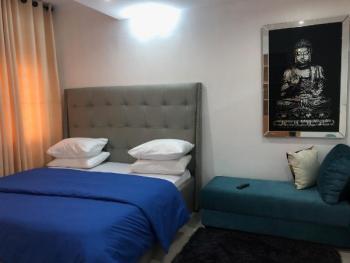 Excellently Furnished 1 Bedroom Apartment — Oniru, Victoria Island (VI), Lagos