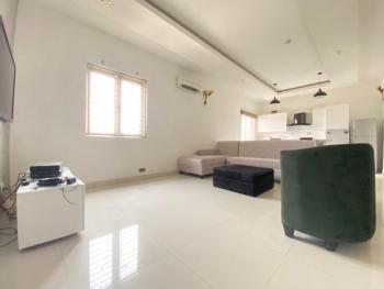 2bedroom Luxury Apartment — Lekki Phase 1, Lekki, Lagos