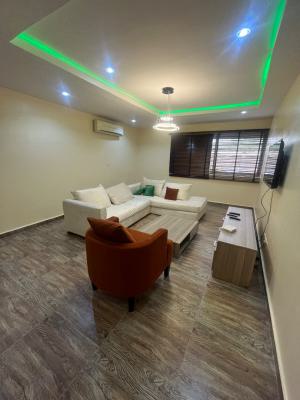 Affordable Luxury: Furnished and Luxury 1 Bedroom Apartment, Foreshore Estate, Osborne, Ikoyi, Lagos, Mini Flat (room and Parlour) Short Let
