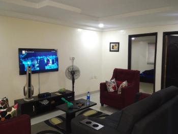 Luxury 2 Bedroom Flat, Off Toyin Street, Allen, Ikeja, Lagos, Flat / Apartment Short Let