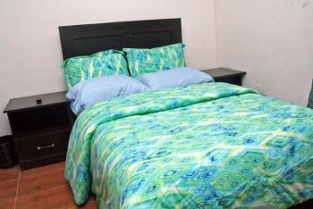 1 Bedroom Flat Very Spacious, Ikeja Gra, Ikeja, Lagos, Flat / Apartment Short Let