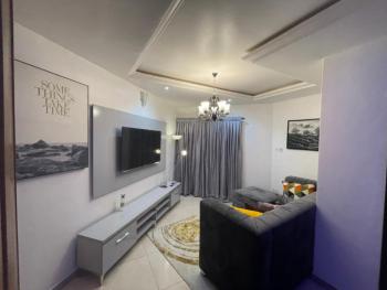 Luxury 2 Bedrooms Apartment, Off Ajose Adeogun, Victoria Island (vi), Lagos, Flat / Apartment Short Let