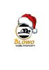 Olowo Home Property