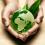 Green Project Consult & Services