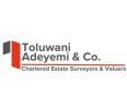 Toluwani Adeyemi & Co