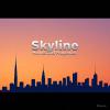 Skyline Homes And Properties