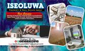 Iseoluwa Agent