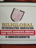 Biliglobal Integrated Services