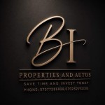 Bi_properties_and_autos_enterprises
