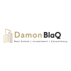 Damon Blaq Consulting Ltd