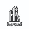 Peak_consult
