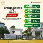 Brains Estate Agency Limited
