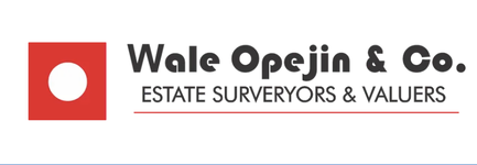 Wale Opejin & Co.