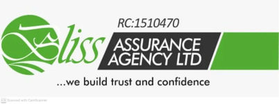 Bliss Assurance Agency